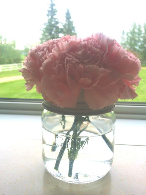 Paging Centerpiece...and anyone else...