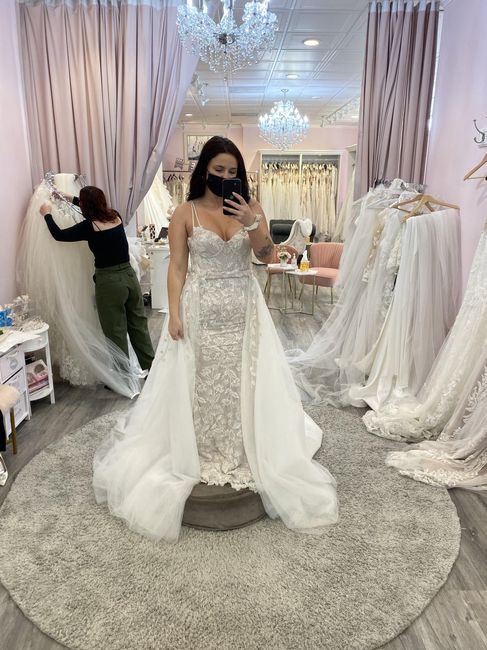 Wedding Dress confusion - 1