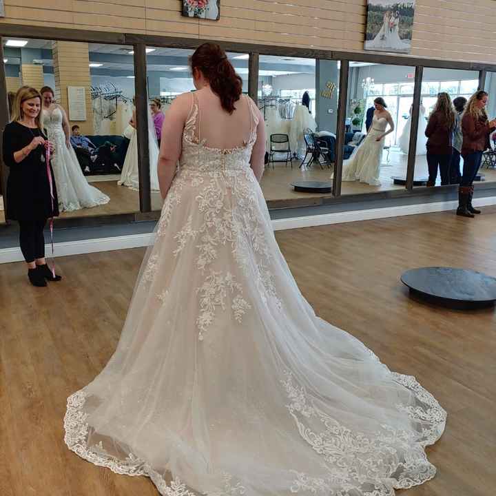 Total wedding dress panic - 1