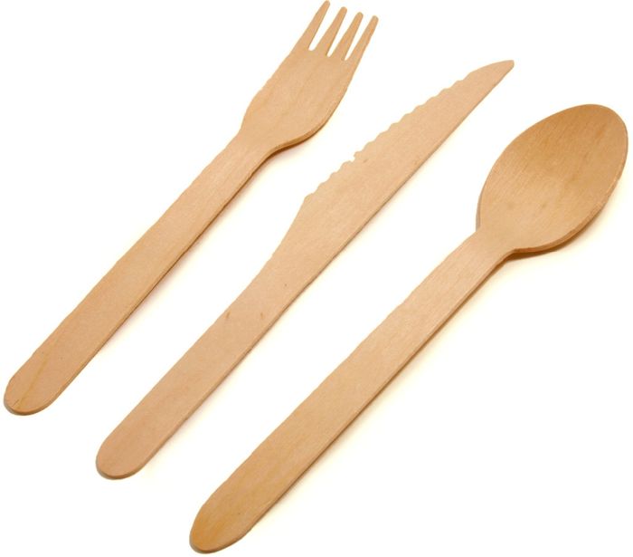 Paper and Plastic dinnerware for an outdoor reception? 4