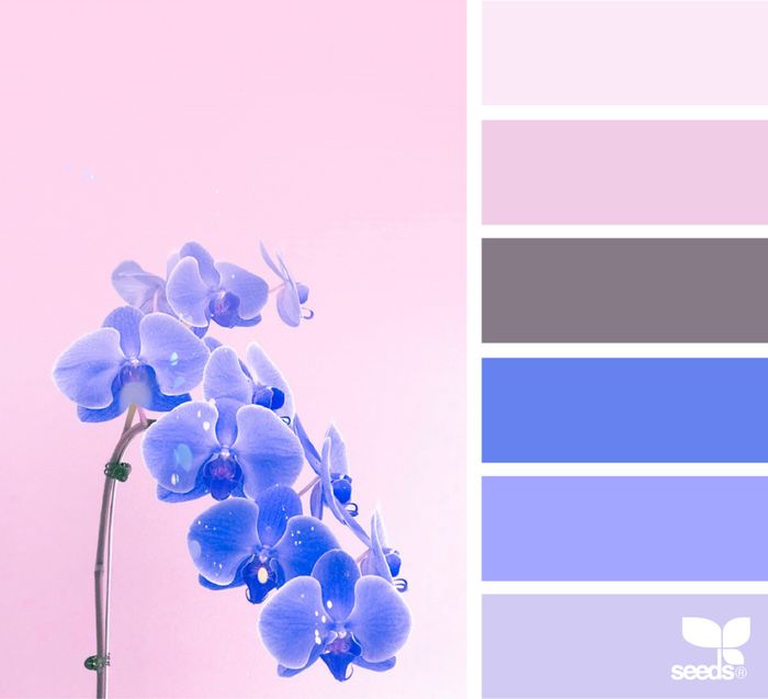 Spring Shades of Blue & Pink 8
