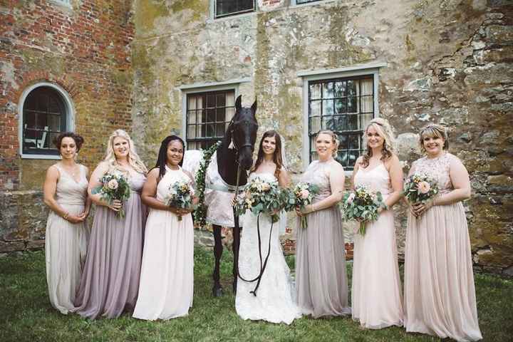 We're Married! (And my horse was a bridesmaid!)