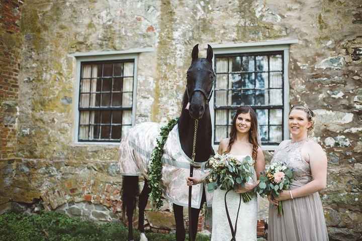 We're Married! (And my horse was a bridesmaid!)