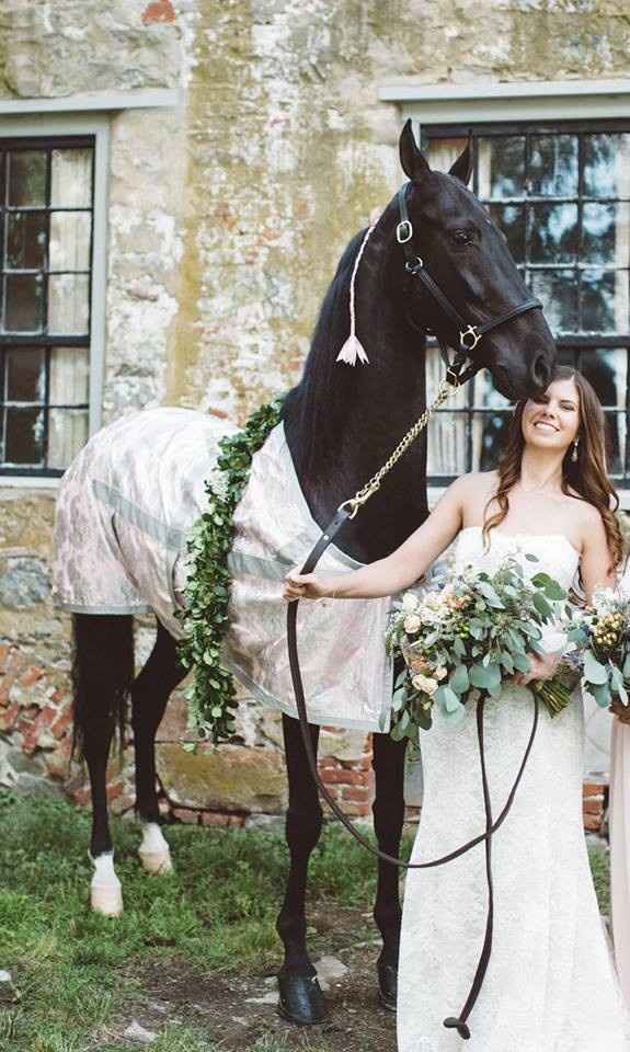 We're Married! (And my horse was a bridesmaid!)