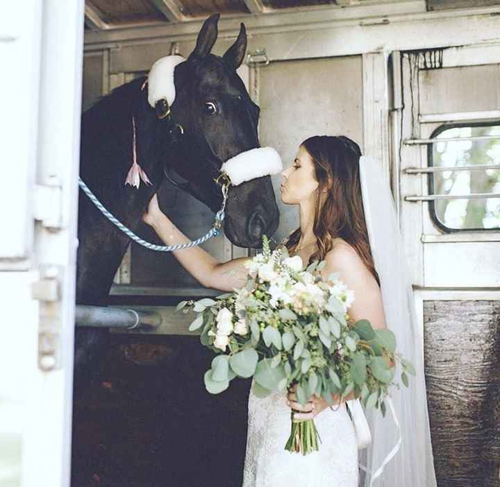 We're Married! (And my horse was a bridesmaid!)