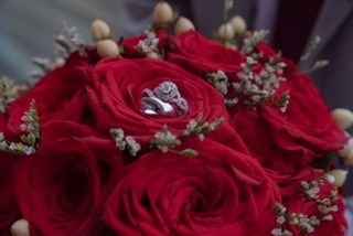 The rings