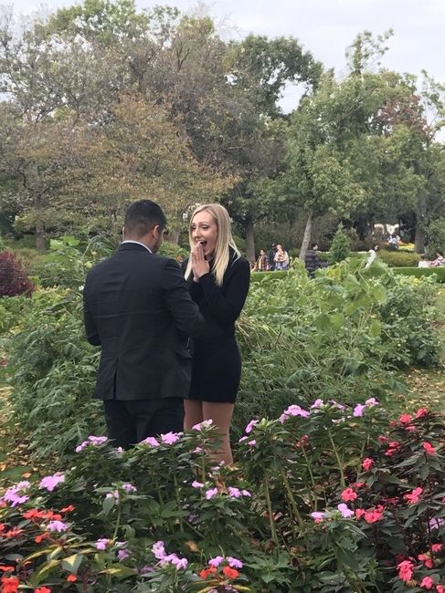 Let's see your proposal pictures!