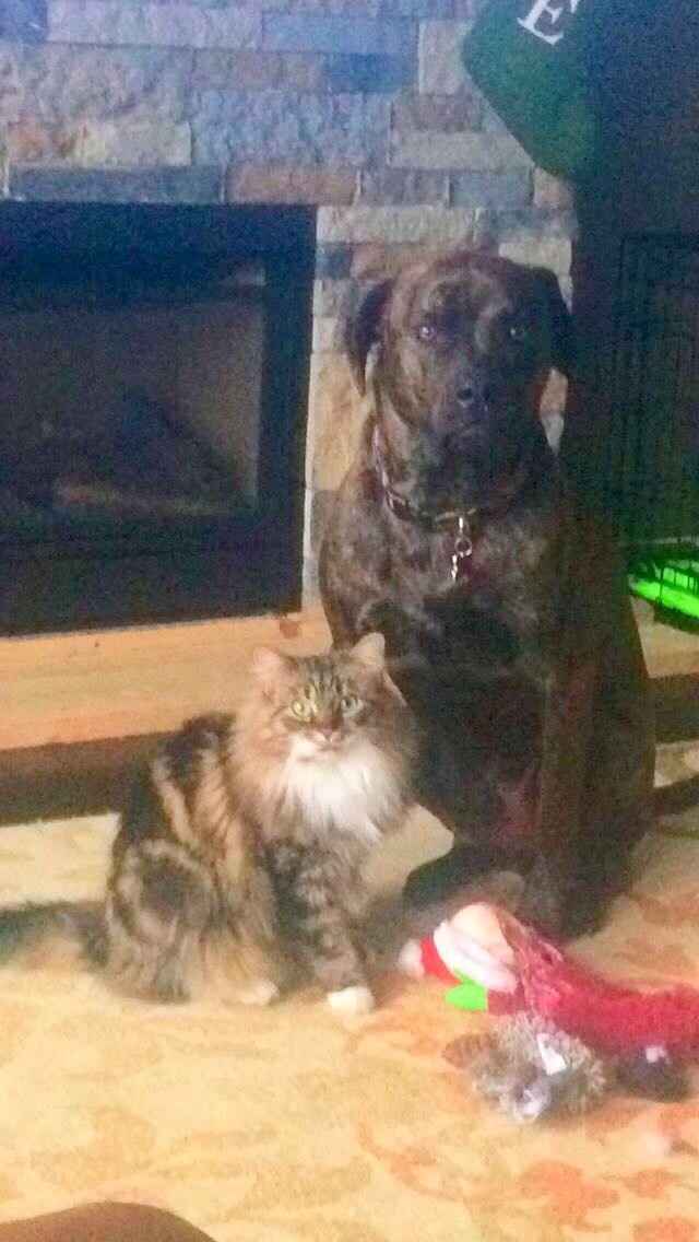 Show off your fur babies!