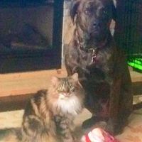 Show off your fur babies!