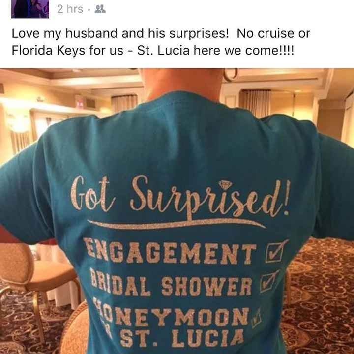 Honeymoon Surprise (Good or bad idea)