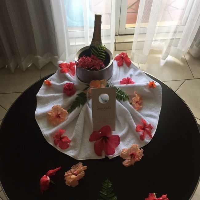 Checking into resorts for honeymoon