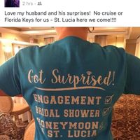 Honeymoon Surprise (Good or bad idea)