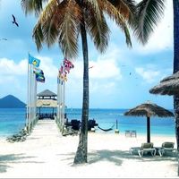 St Lucia vs Hawaii