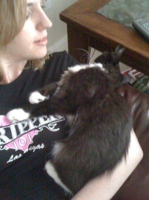NWR... my cats.. do you have any pets?
