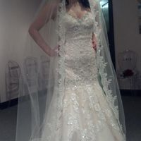 2014/2015 Brides (✿◠‿◠)