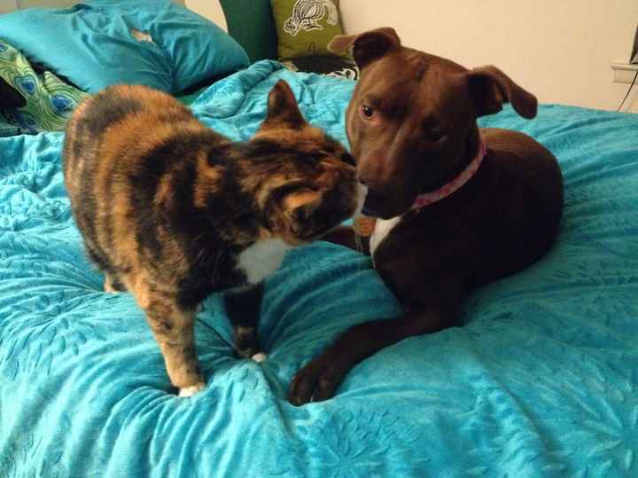 NWR: post pics of your pets!!