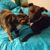 NWR: post pics of your pets!!