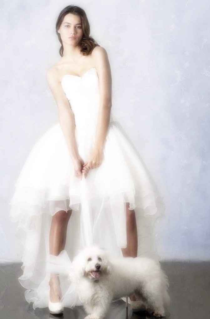 Please Help!! Wedding dress nightmare!!!! Wedding is a month away.