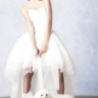 Please Help!! Wedding dress nightmare!!!! Wedding is a month away.