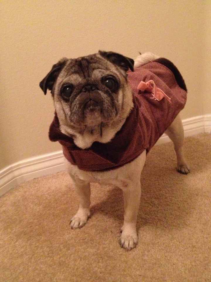 NWR - Memorial for a pet