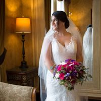 Preview Pro Bam  pic heavy! - 15