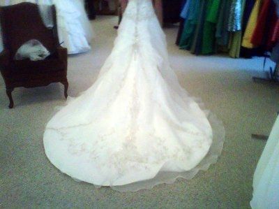 Let's See Your Dress!