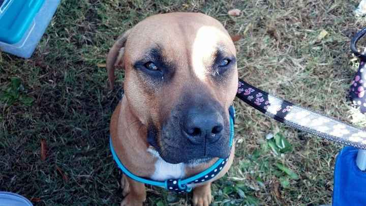 NWR: Fur baby thread!