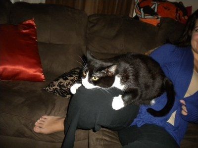 Show us your pets!