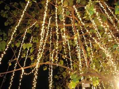 Decor for outdoor ceremony....(Tree decorations)