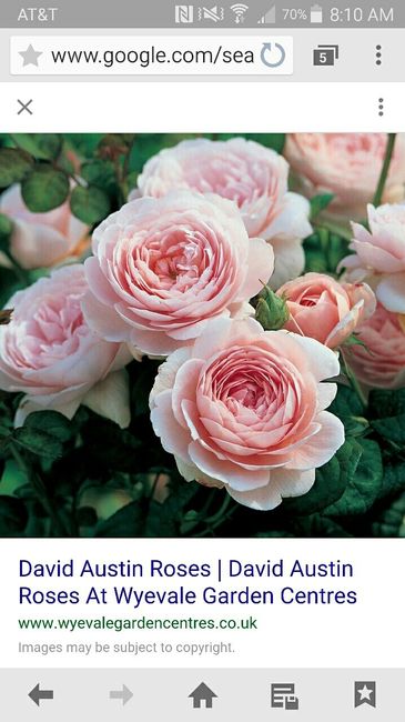 So ...which would you rather? ?