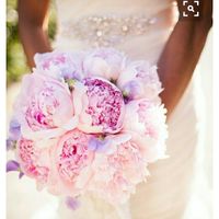 So ...which would you rather? ?