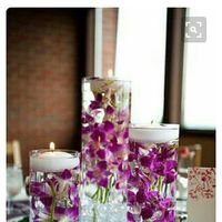 Which would you rather