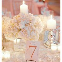 Which would you rather