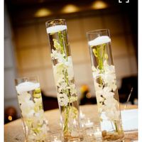 Which would you rather