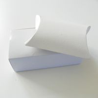 I got my veil and headpiece!