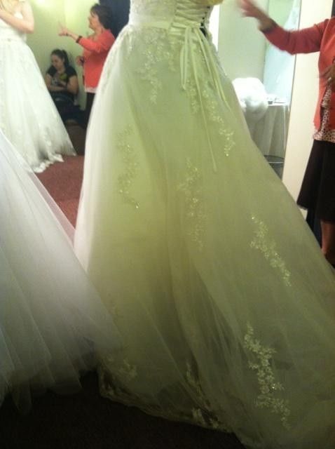 (Pics) First time trying on dresses and...