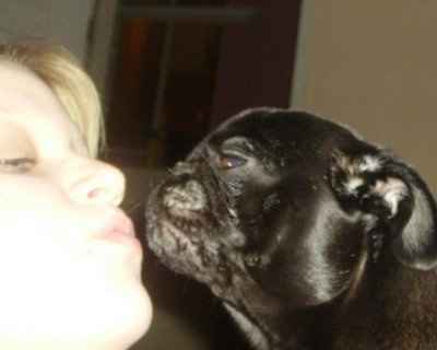 Furbabies!!! Lets show them off!