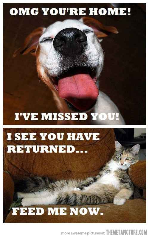 Because we could use a laugh today ...