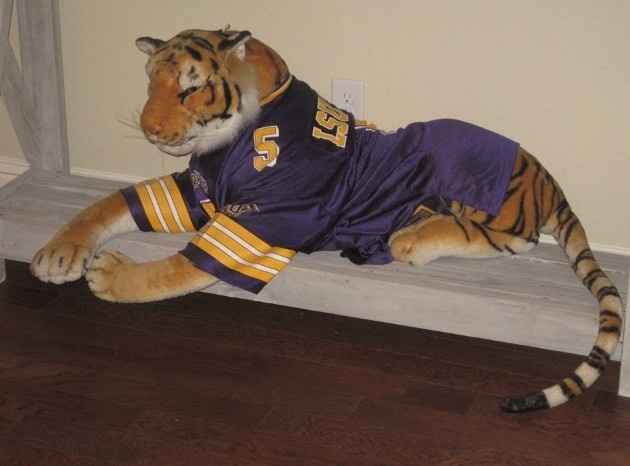 Honey Do and LSU (PIC HEAVY)