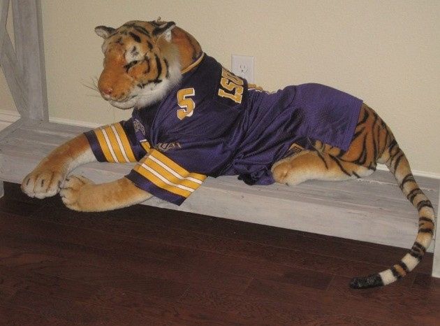 Honey Do and LSU (PIC HEAVY)