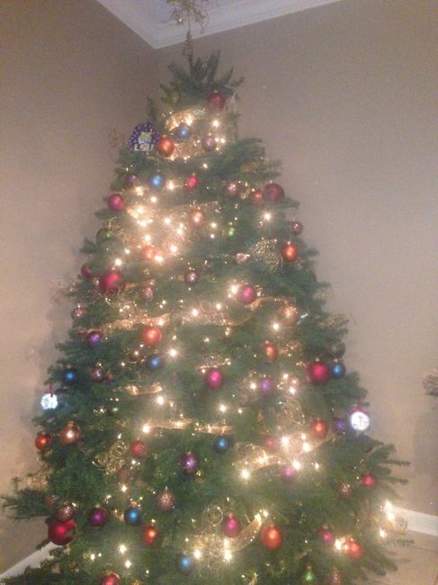 NWR - Alright, who's got their tree up?!