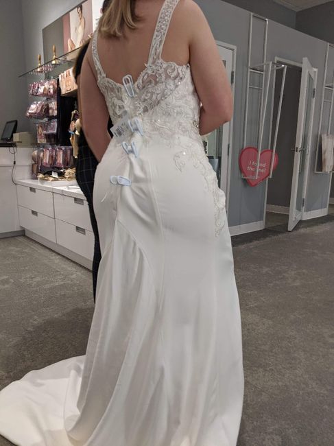 Possible Dress Regret 2