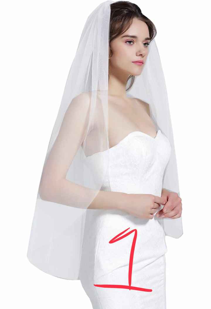 Veil? No veil ? Help ! - 1