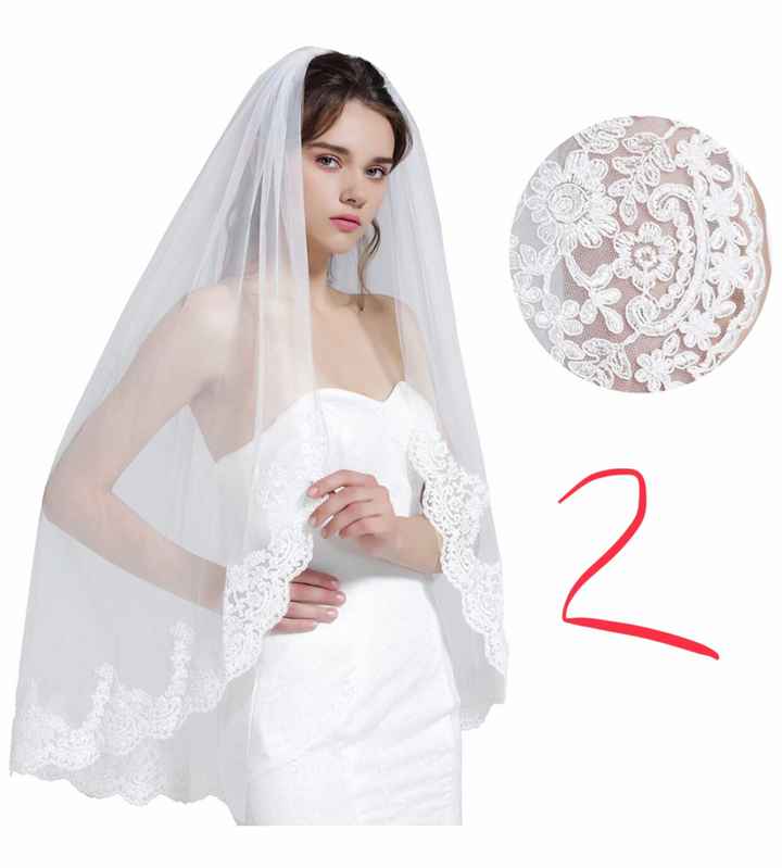 Veil? No veil ? Help ! - 2