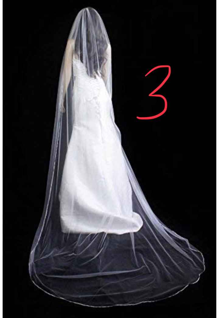 Veil? No veil ? Help ! - 3