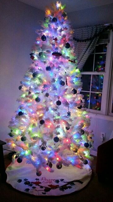 NWR-show me your Xmas trees