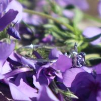 2025 Brides - Show us your ring! - 2