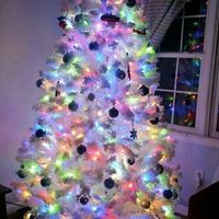 NWR-show me your Xmas trees