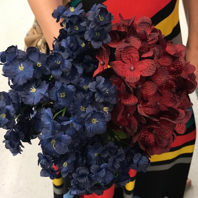 What is your color theme?