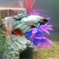 Where did everyone go after their hair and makeup trial